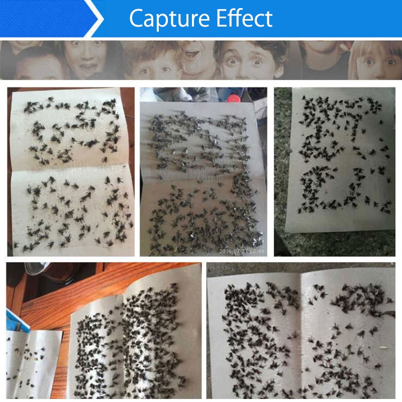 10pcs Sticky fly paper flies stick flies roll new non-toxic sticky fly paper Killer Outdoor Fly Board Bait Flies Double Traps