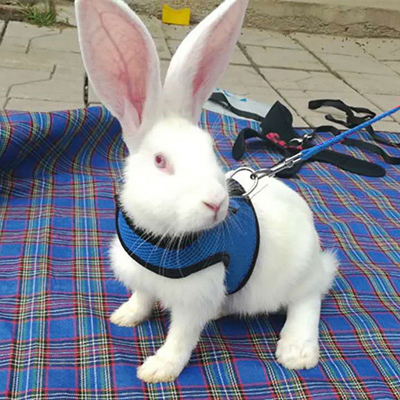 Small Animal Pet Mesh Leash Harnesses Cute Accessories Rabbit Leash Lead Vest Mesh Harness Leash Pet Strap S M L
