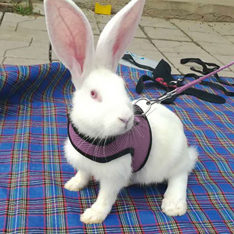 Small Animal Pet Mesh Leash Harnesses Cute Accessories Rabbit Leash Lead Vest Mesh Harness Leash Pet Strap S M L